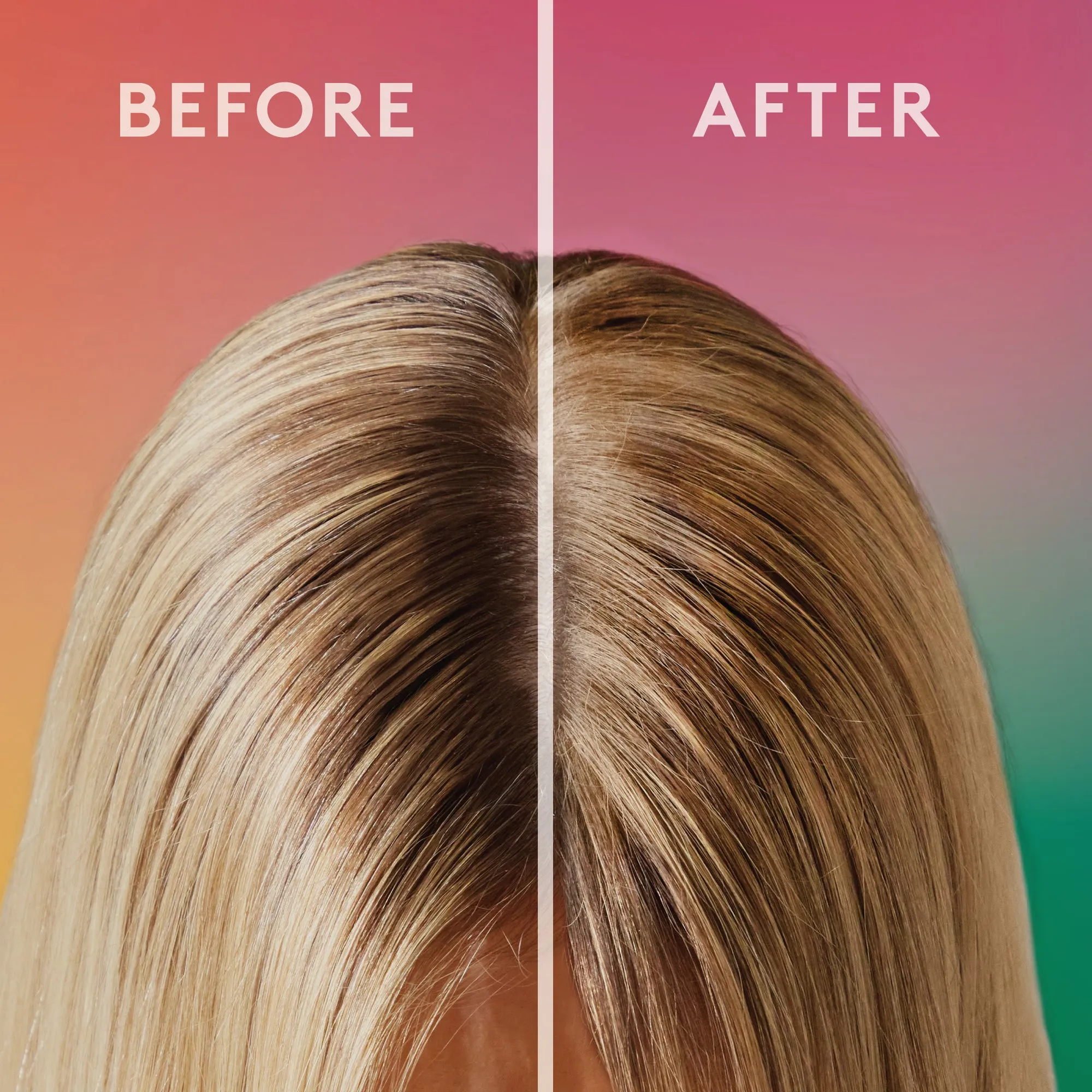 Blonde Gifting Bundle