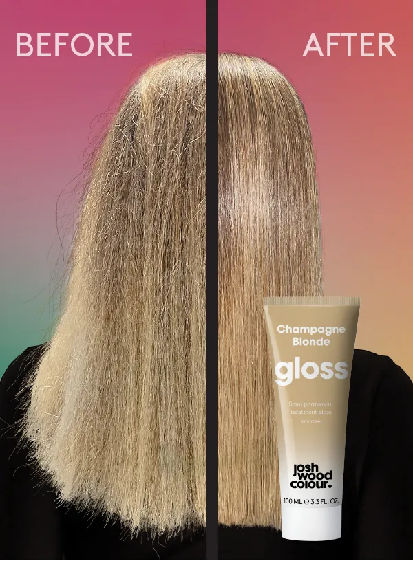 Blonde Gifting Bundle