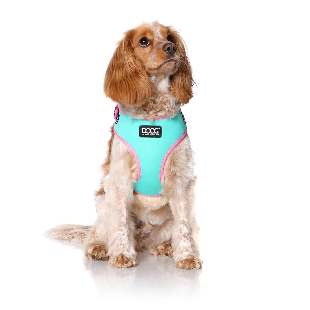 DOOG Neoflex Neoprene Rin Tin Tin Neon Teal and Pink Dog Harness Small