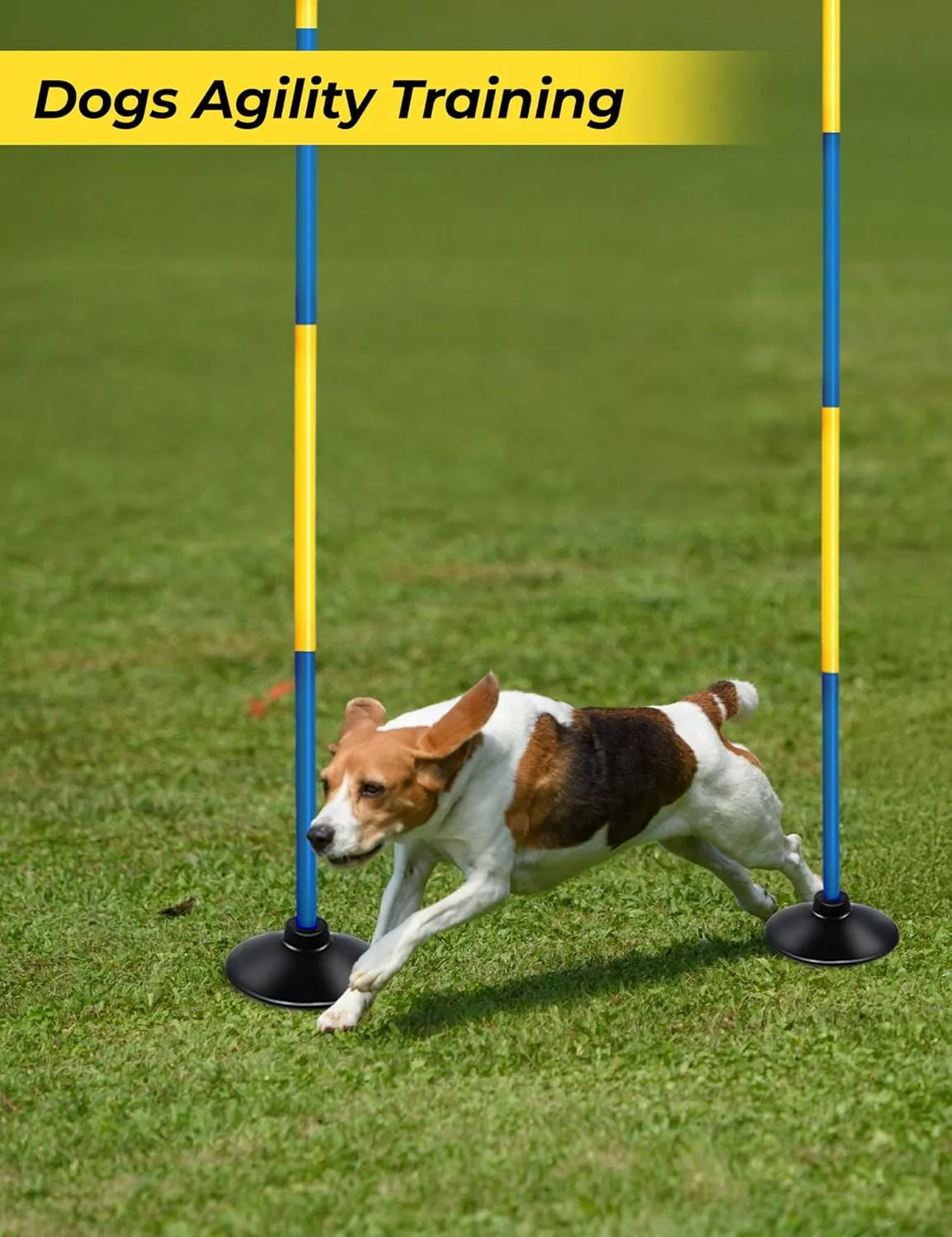 SEAOTTER Soccer Agility Poles Set, 4/6/10 Pcs 6ft Detachable Sports Trainning Speed Poles Slalom Poles with Rubber Base, Agility Training Equipment for Football, Rugby, Basketball, Indoor & Outdoor